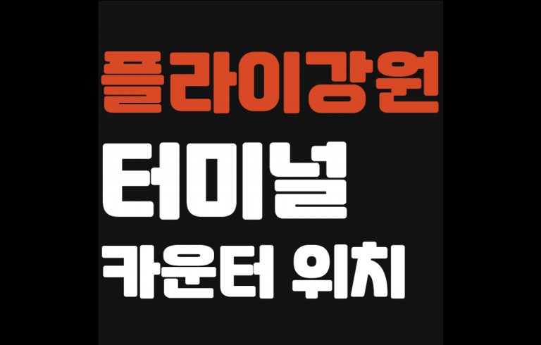 플라이강원 터미널