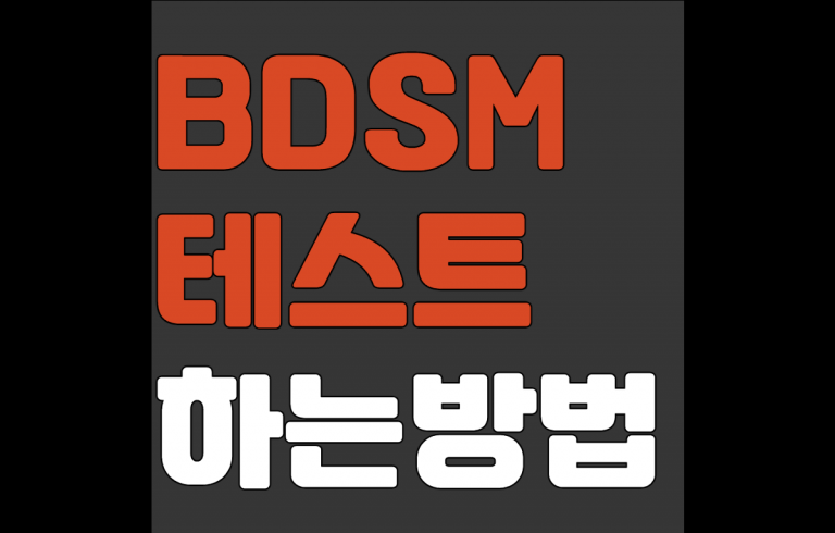 BDSM 테스트 하는방법